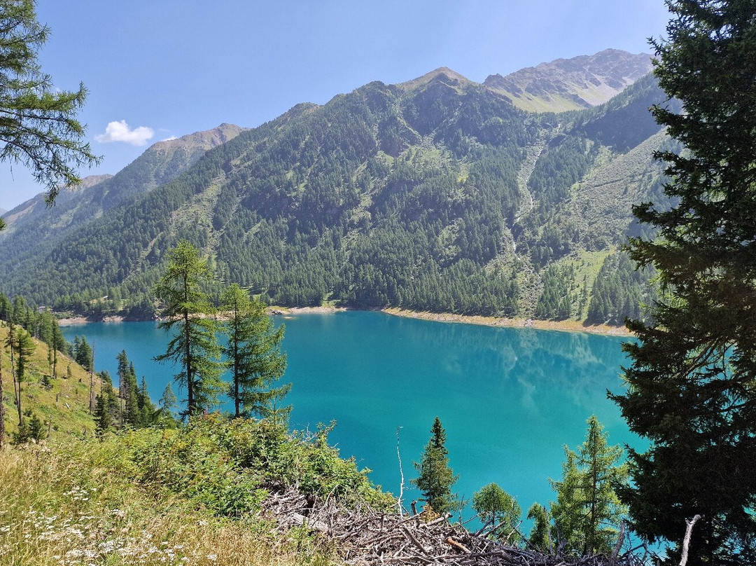 Lago di Pian Palù-Peio必去景点