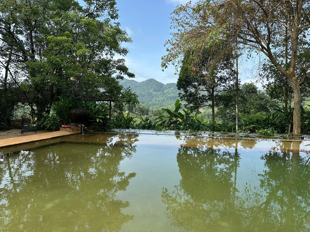 Rainforest Edge主图