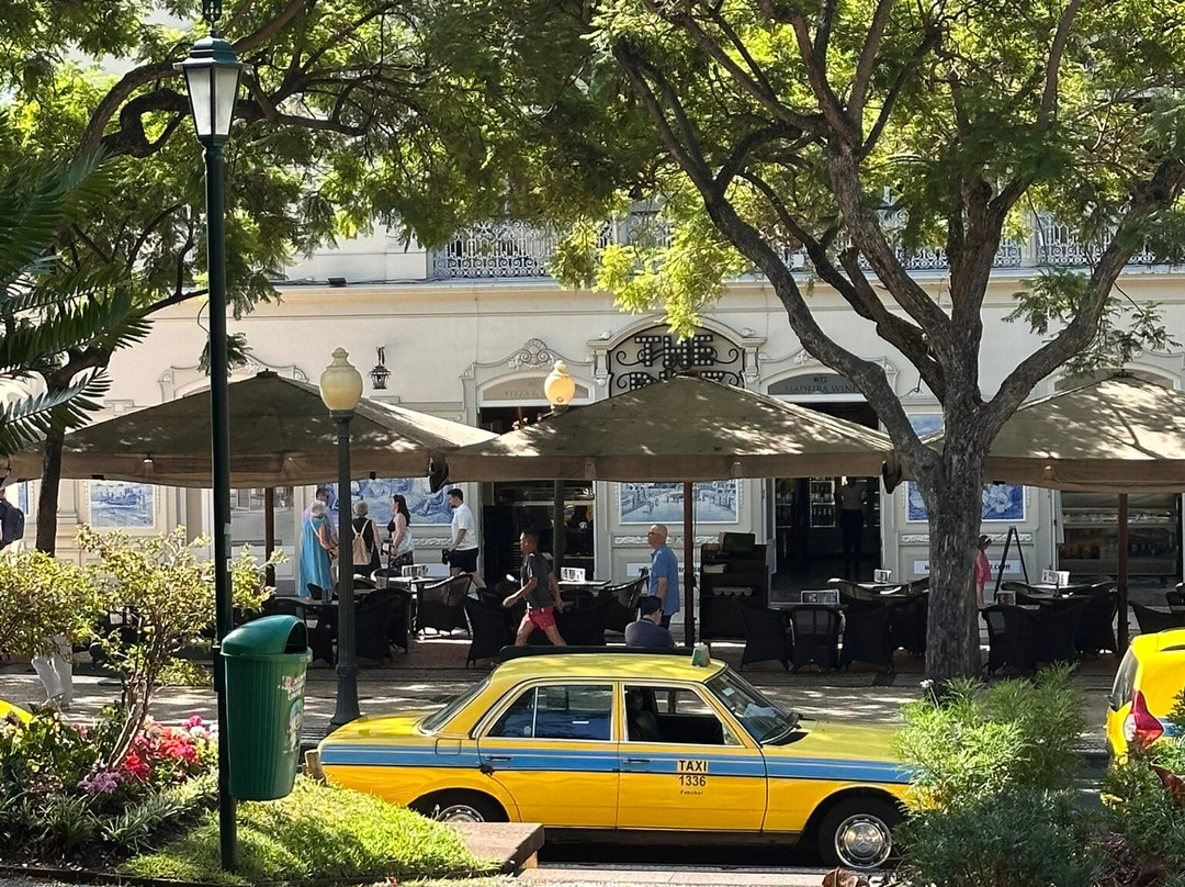 Jardim Municipal do Funchal-沙尔必去景点