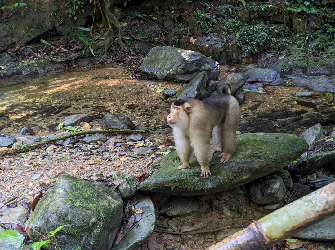Explore Sumatra Trekking-武吉拉旺必去景点