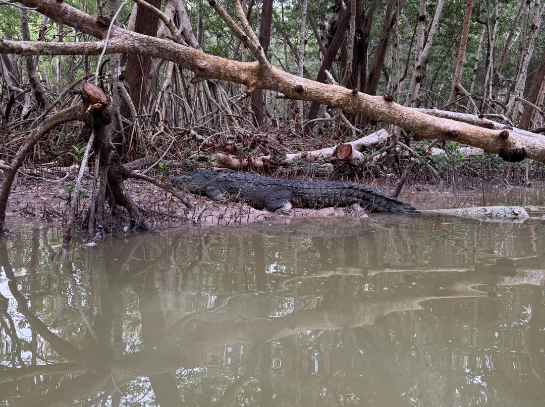 Guardianes De Los Manglares De Dzinintún-塞莱斯顿必去景点