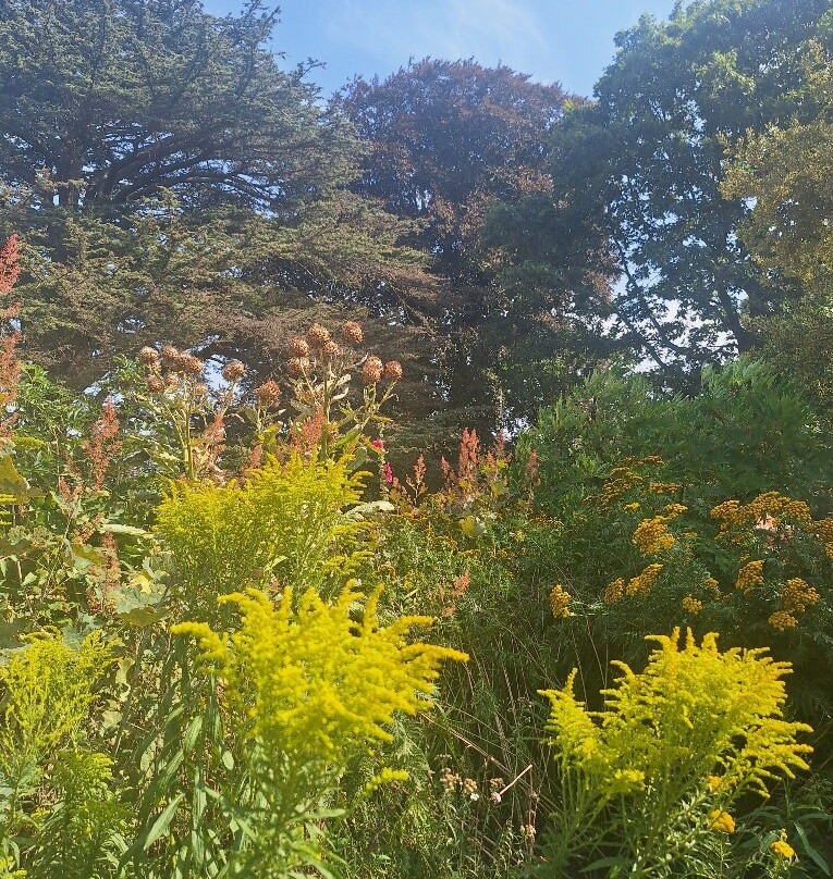 Belmont House and Gardens-Throwley必去景点