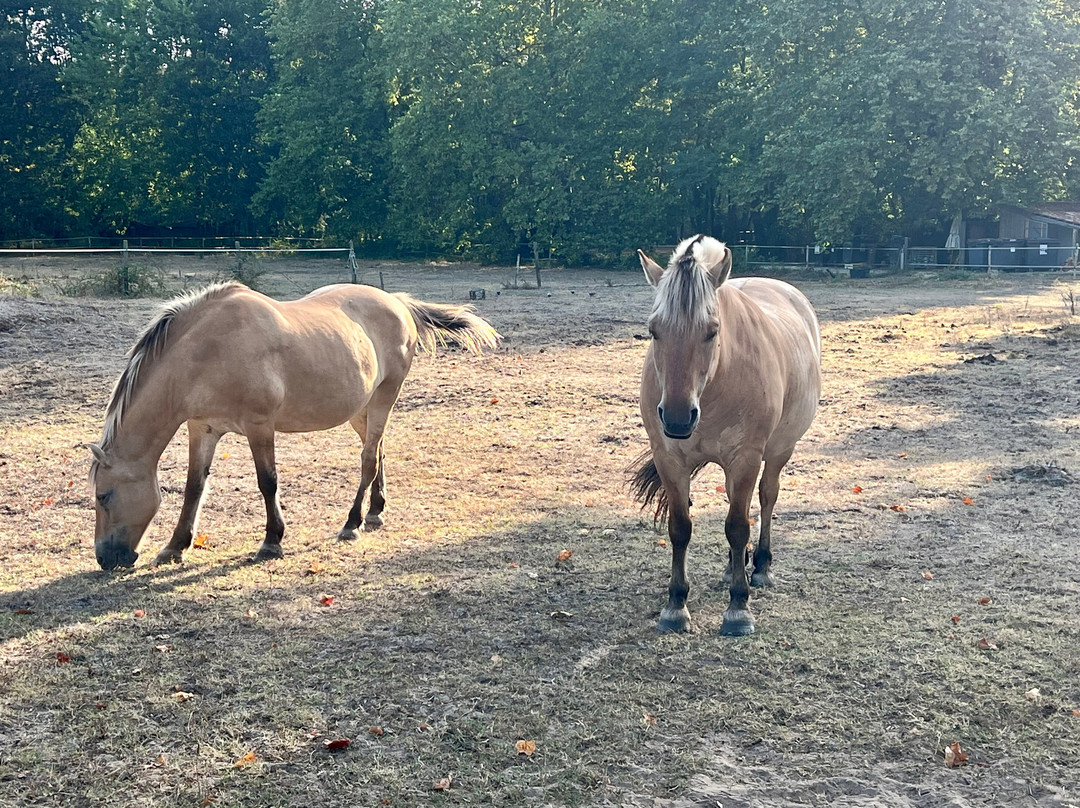 Château Léognan-Leognan必去景点