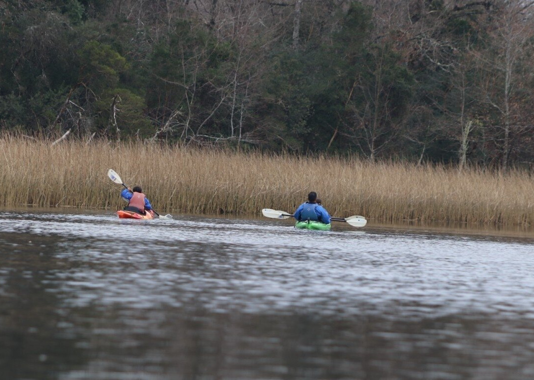 Rio Vivo-瓦尔迪维亚必去景点