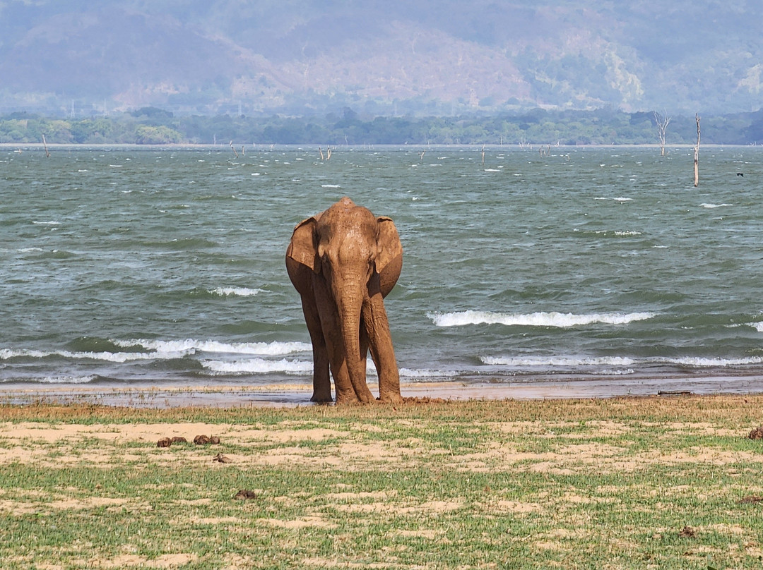 Subara Travels Sri Lanka-Kotugoda必去景点