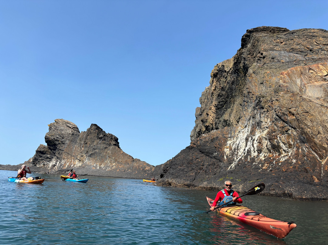 Adventure Beyond-Coed Y Bryn必去景点