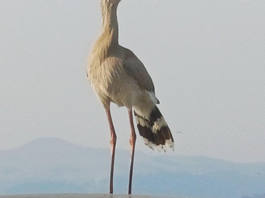 Vinhedos do Monte Agudo-Sao Joaquim必去景点