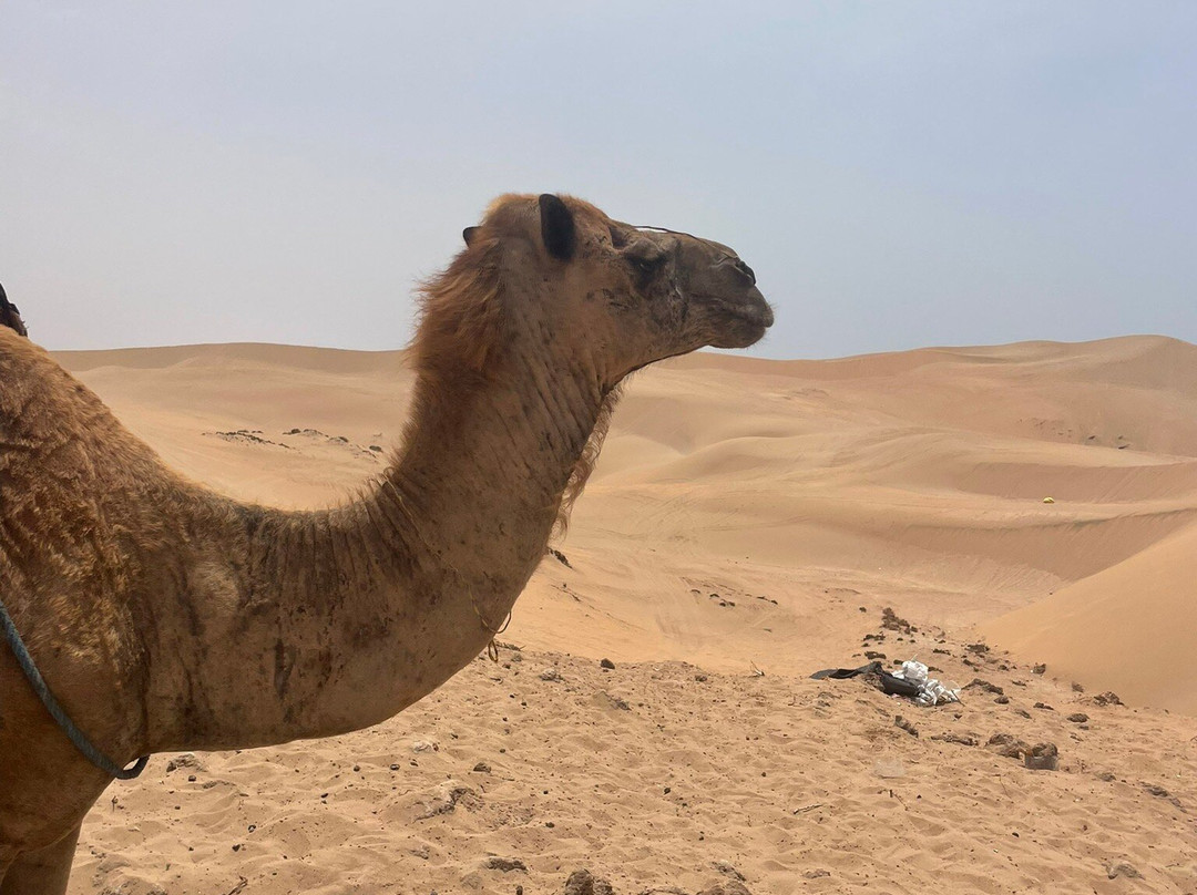 Sun And Sand Quad Agadir-Takate必去景点