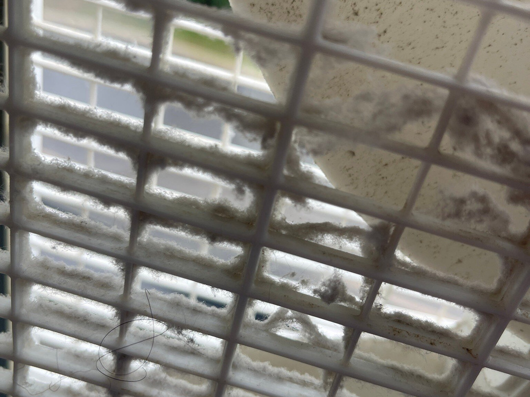 Best Western Knoxville Airport/Alcoa主图