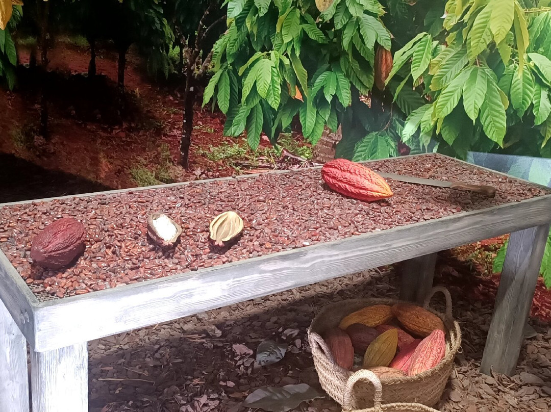 Valor Chocolate Museum-Villajoyosa必去景点