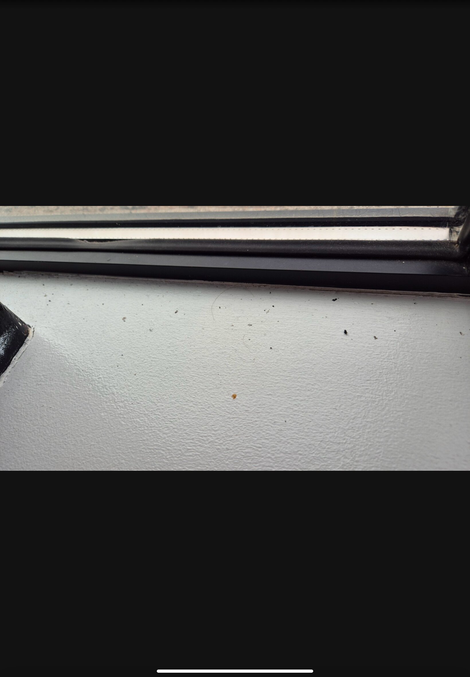 Sandman Signature Aberdeen Hotel & Spa-客卧