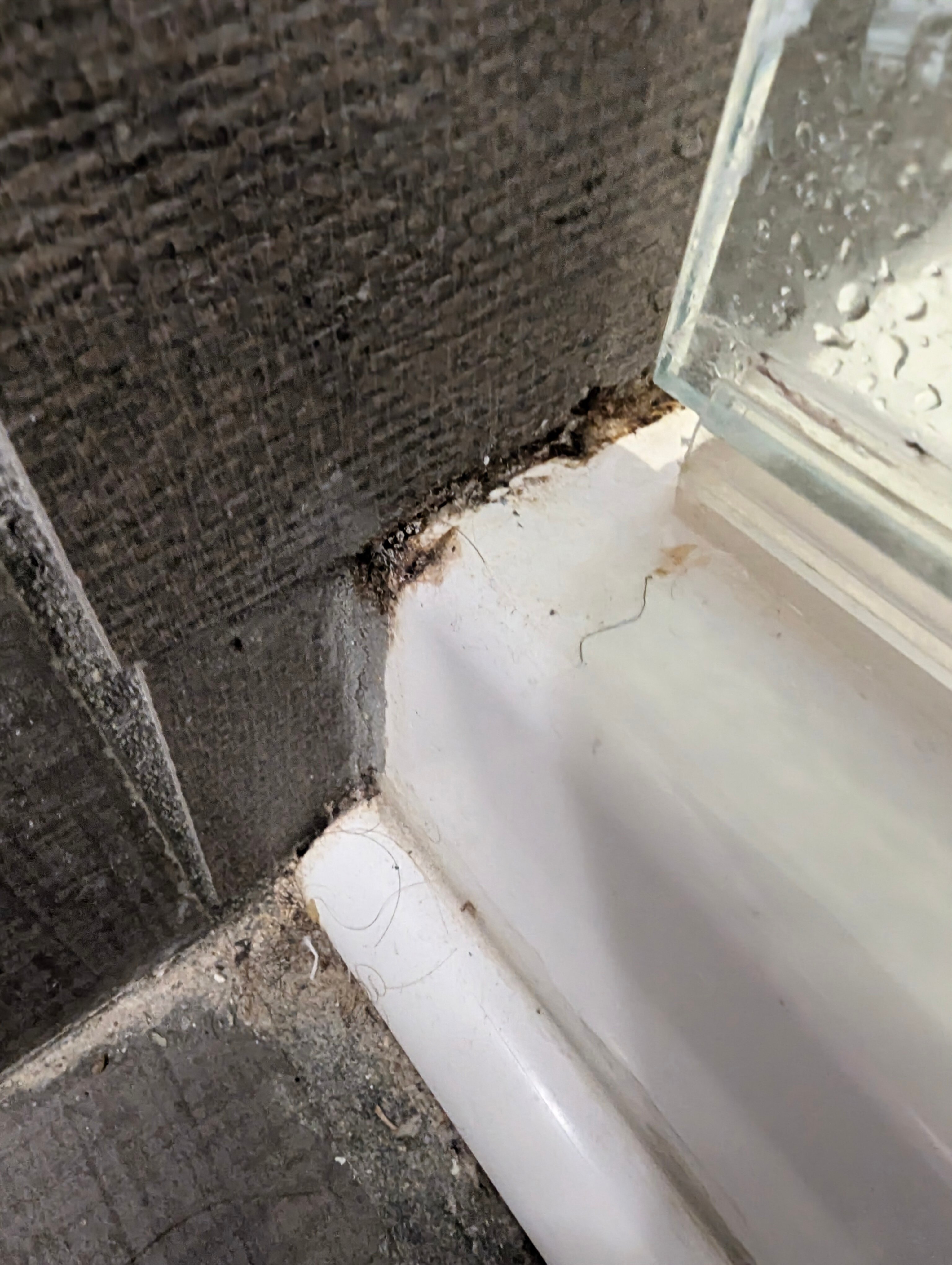 Doubletree Suites By Hilton Hotel Huntsville South-浴室