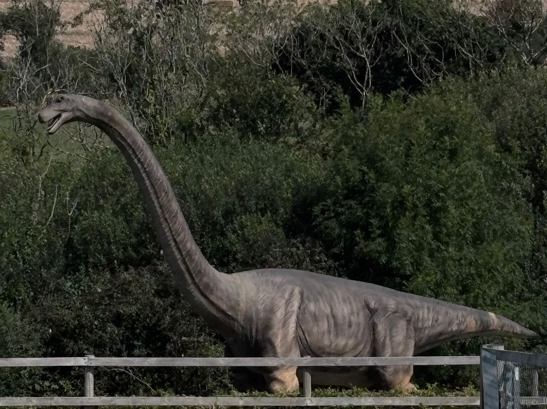 The Dinosaur Park-腾比必去景点