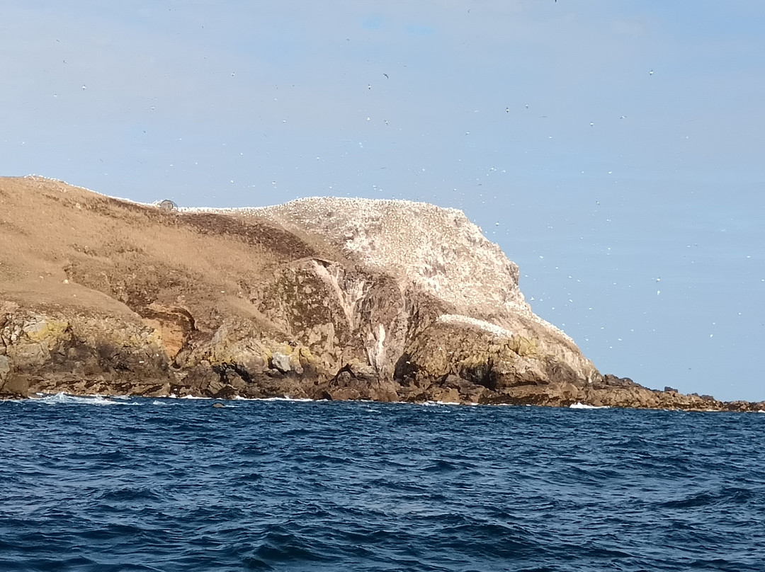 Armor Navigation-皮若斯必去景点