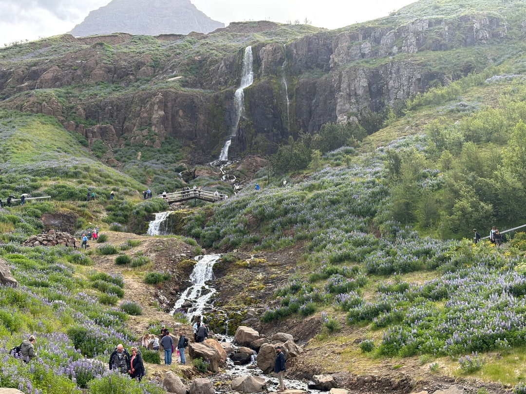 Budareyrarfoss-塞济斯菲厄泽必去景点