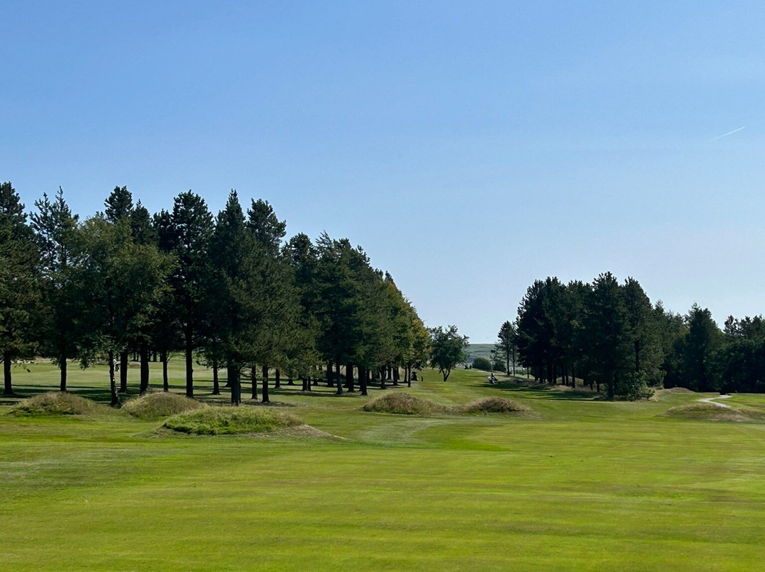 Nelson Golf Club-Nelson必去景点