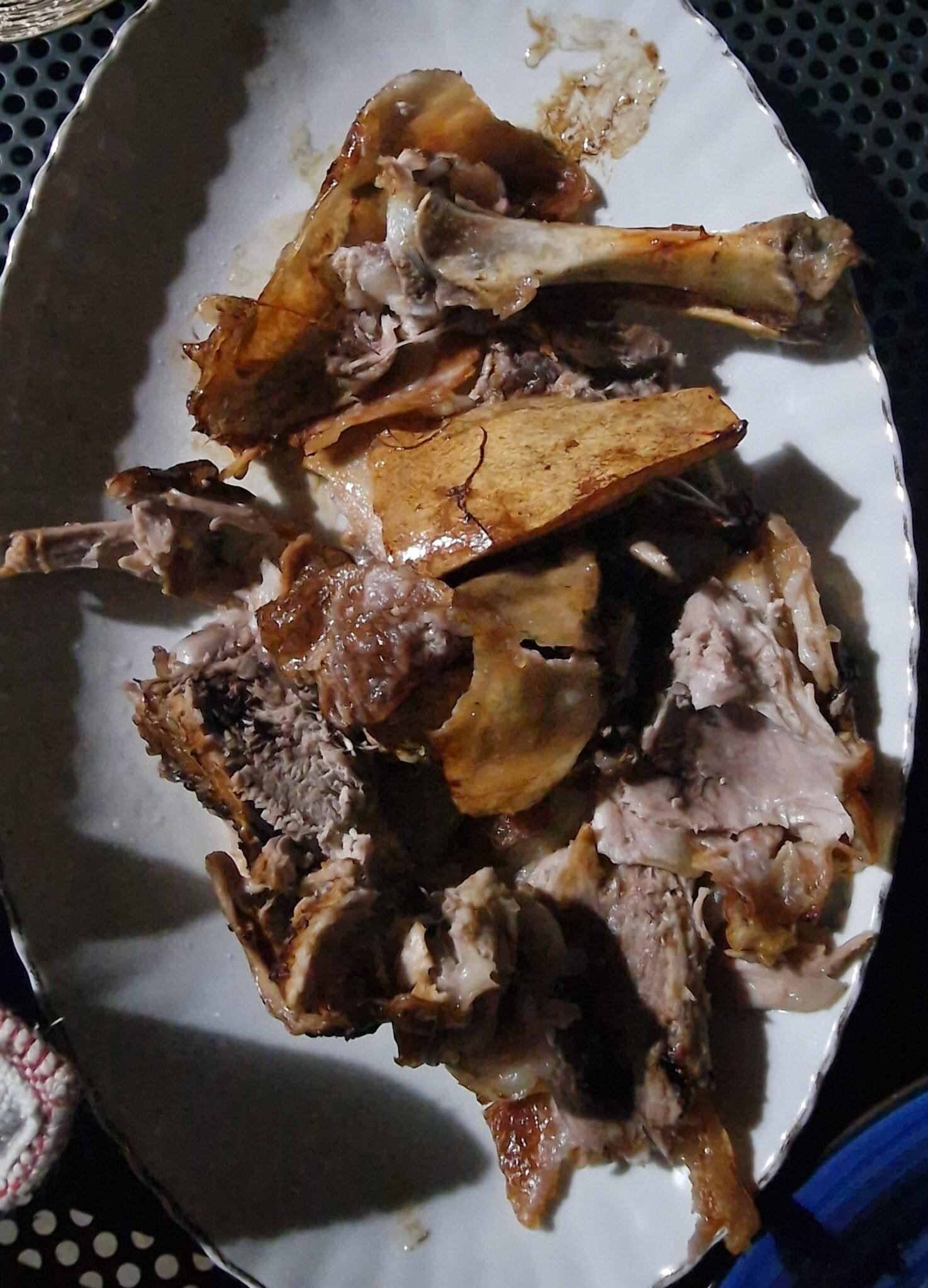 B&B Chorisia (IUN E5436)-官方