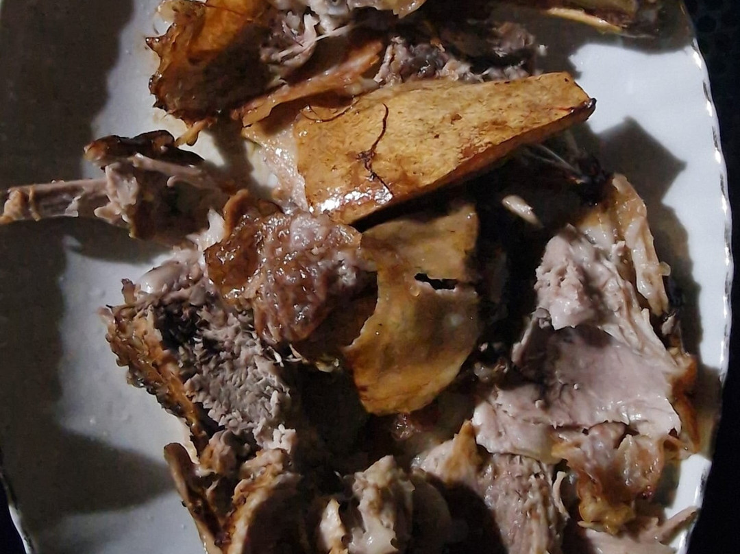 B&B Chorisia (IUN E5436)主图