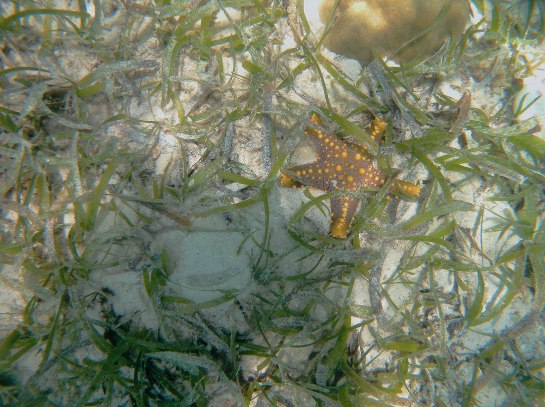 Buga Tour Guide Zanzibar-Matemwe必去景点