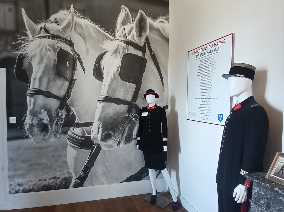 Château de Pompadour-Arnac-Pompadour必去景点