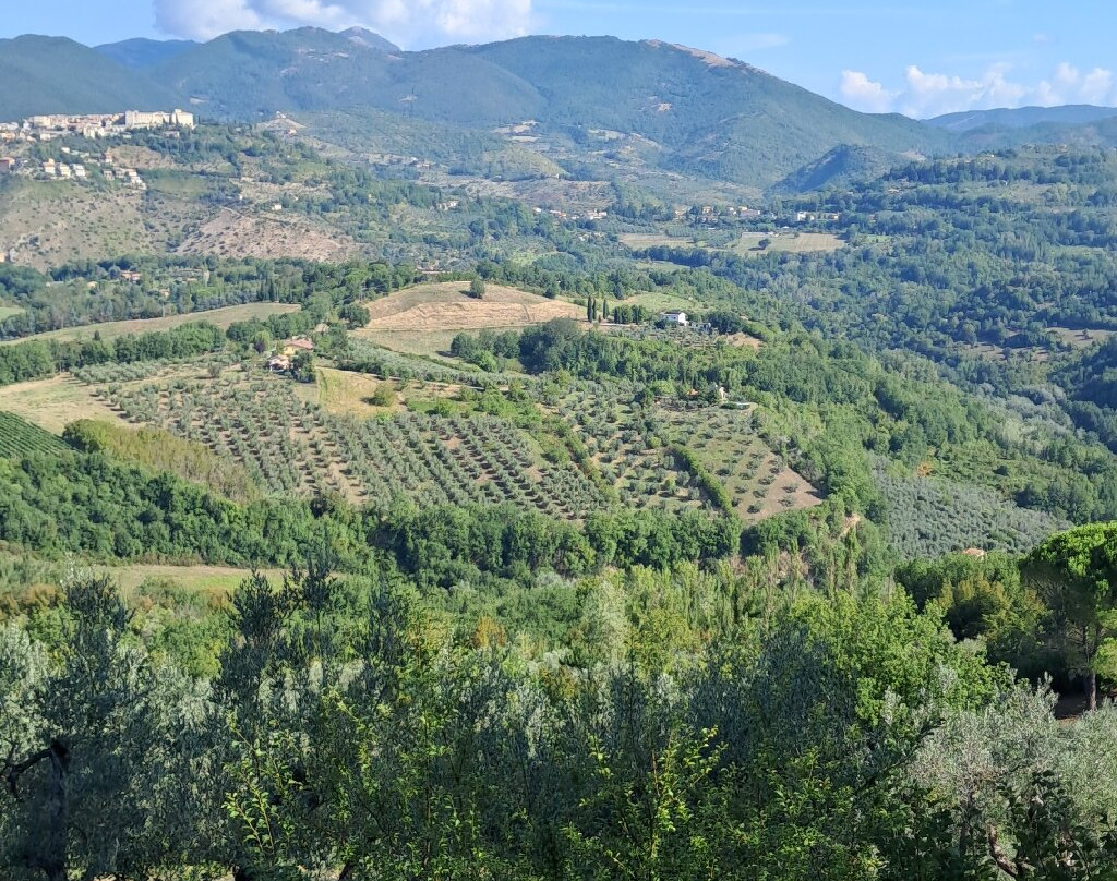 Agriturismo Sant'Ilario sul Farfa主图