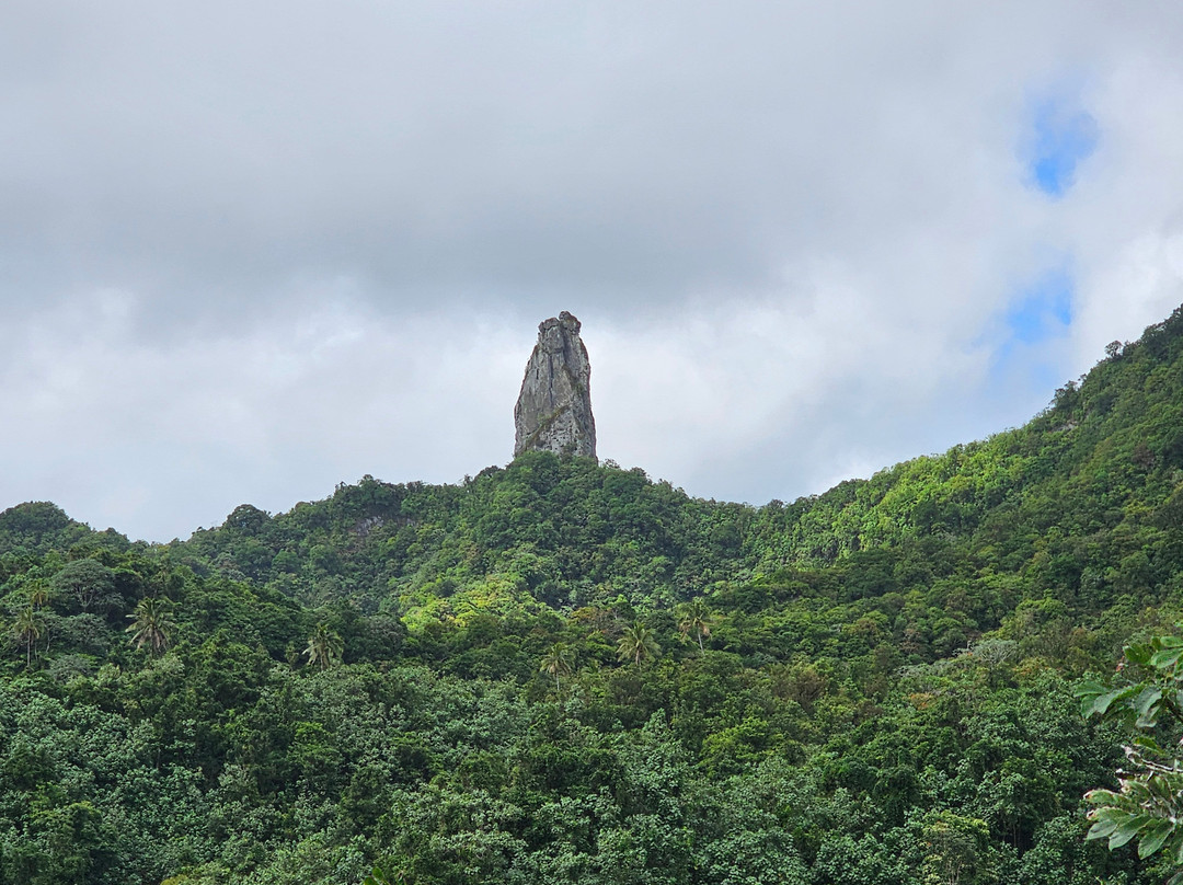 Raro Mountain Safari Tour-拉罗汤加必去景点