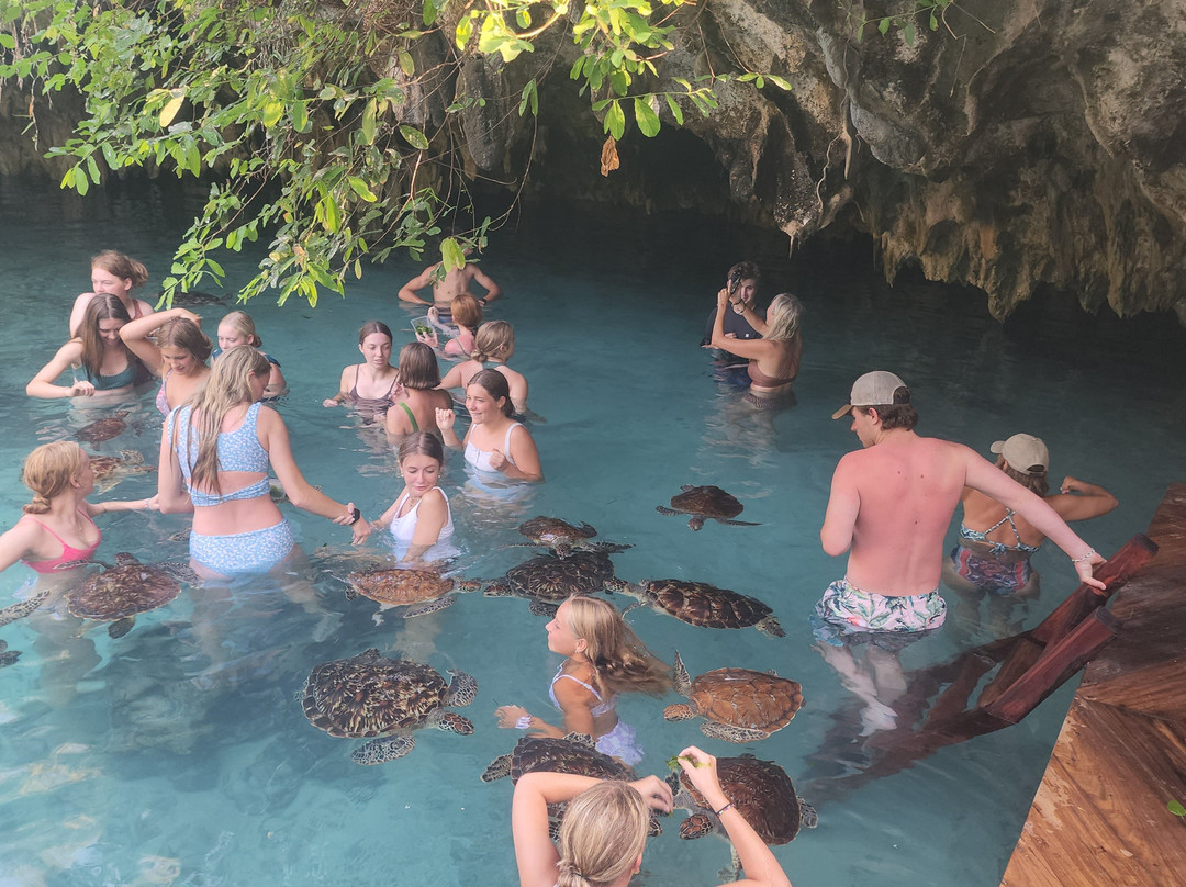 Discover Zanzibar with Mr Brown-桑给巴尔岛必去景点