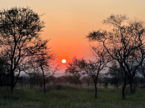 Wilderness Winners Safaris-阿鲁沙必去景点