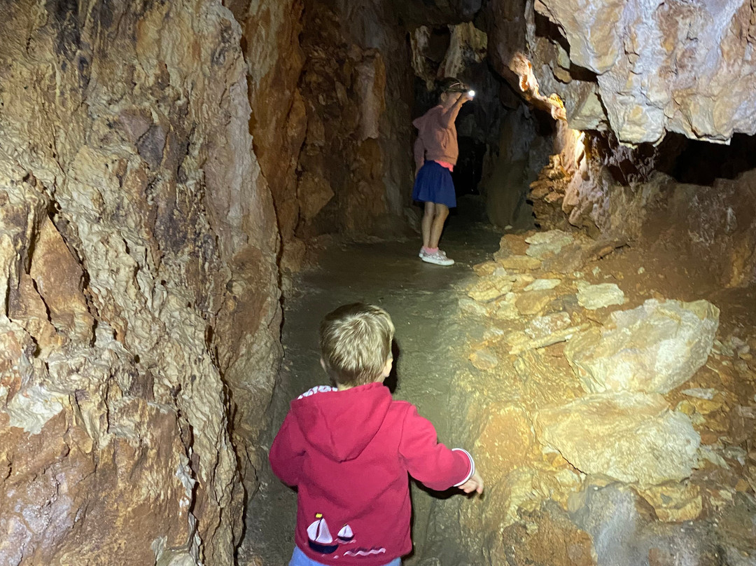 Aven Grotte Forestière-Orgnac-l'Aven必去景点
