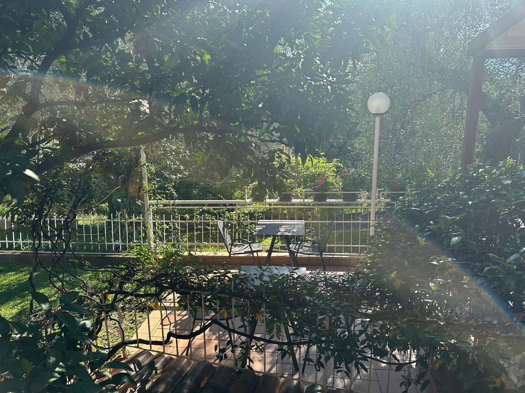 Hotel Garni Ischia主图