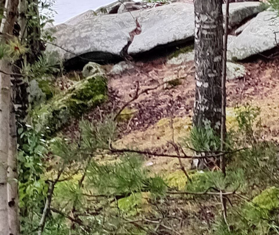 Megaliths of Vera Island-Miass必去景点