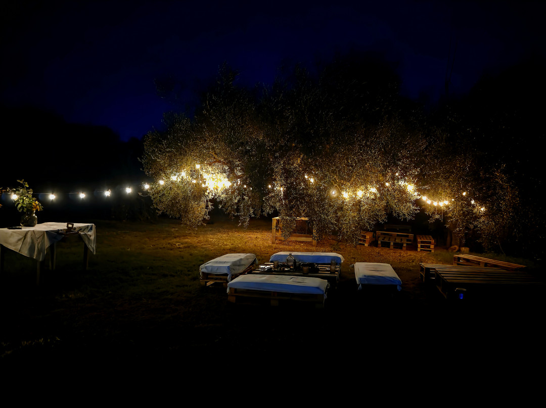 Olivina Experiences-Lotzorai必去景点