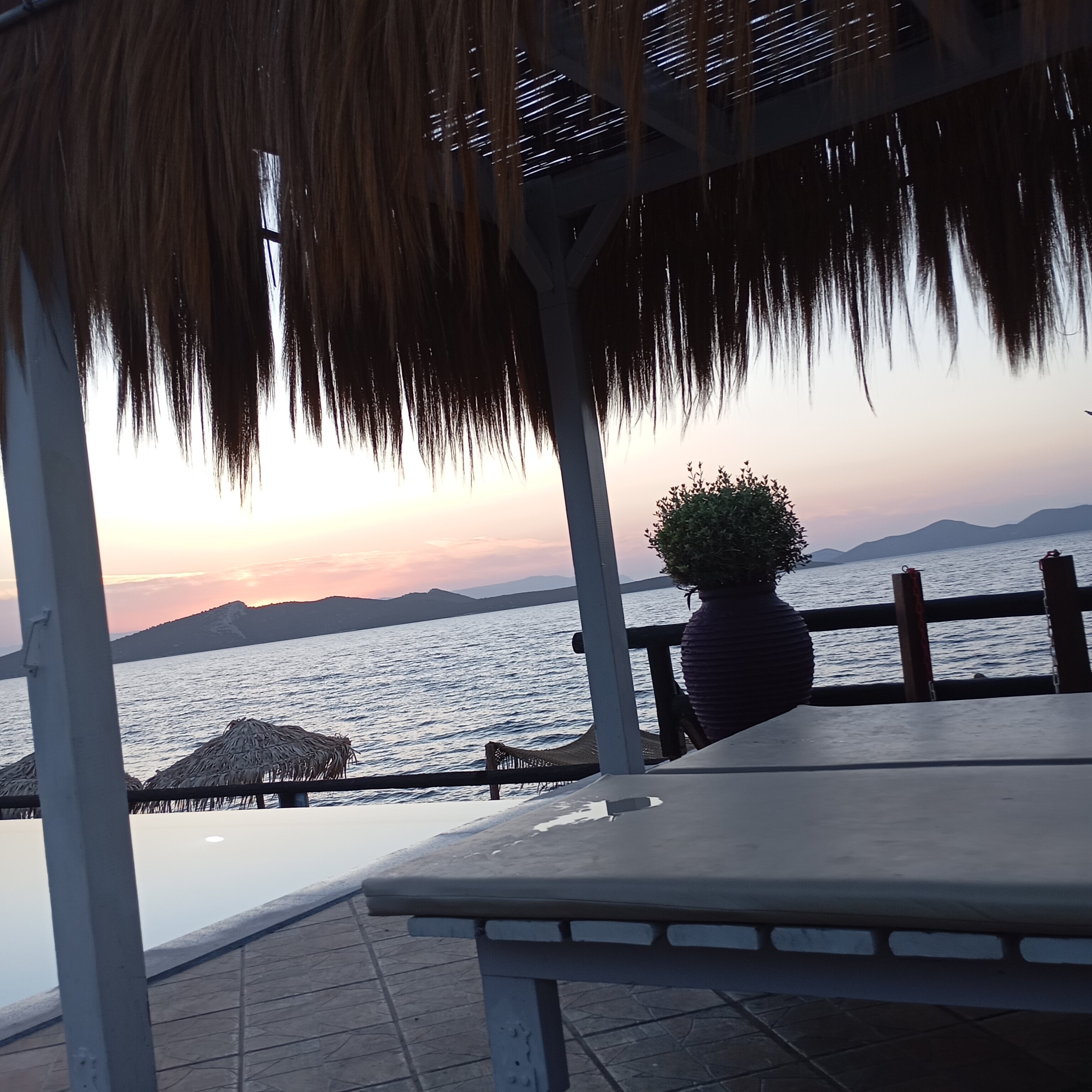 Venus Beach Hotel-官方