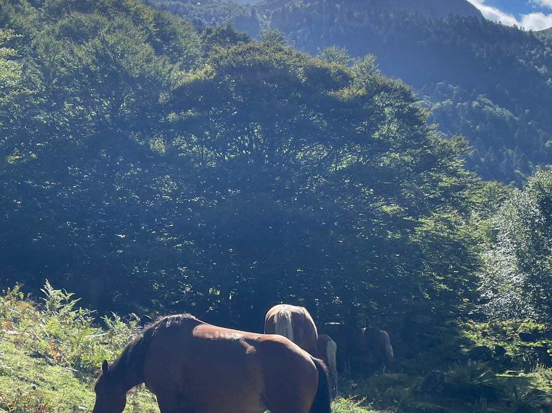Cirque de Cagateille-Ustou必去景点