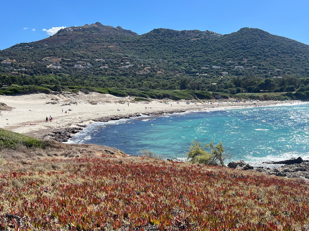 Plage de Bodri-Corbara必去景点