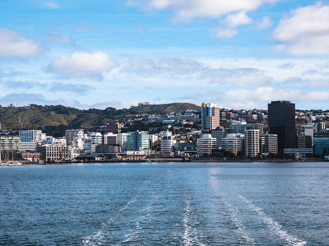 East By West Ferries-惠灵顿必去景点