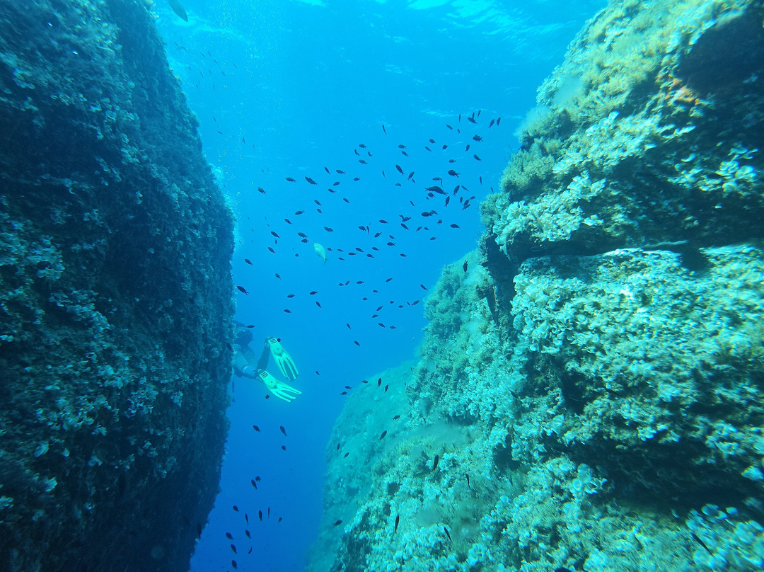 Orca Diving Ustica-Ustica必去景点
