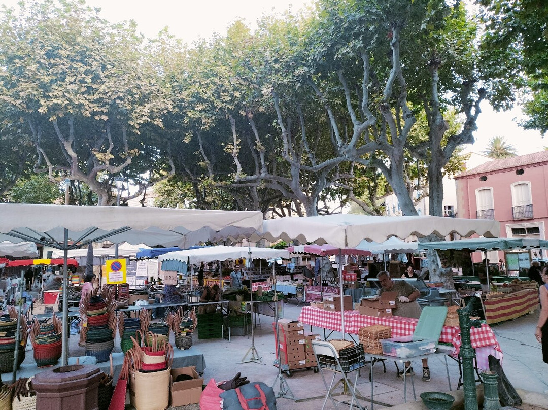 Les Marches de Collioure-科利乌尔必去景点