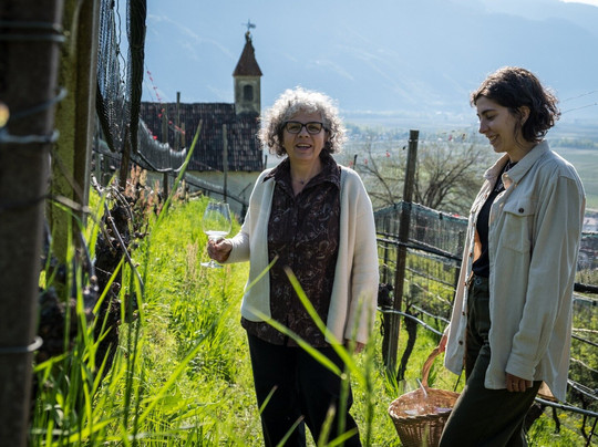 Weingut Mauslocher-Cermes必去景点