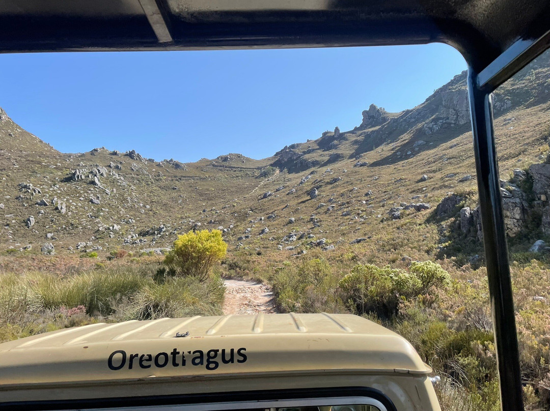 Cape Canopy Tour-Elgin必去景点