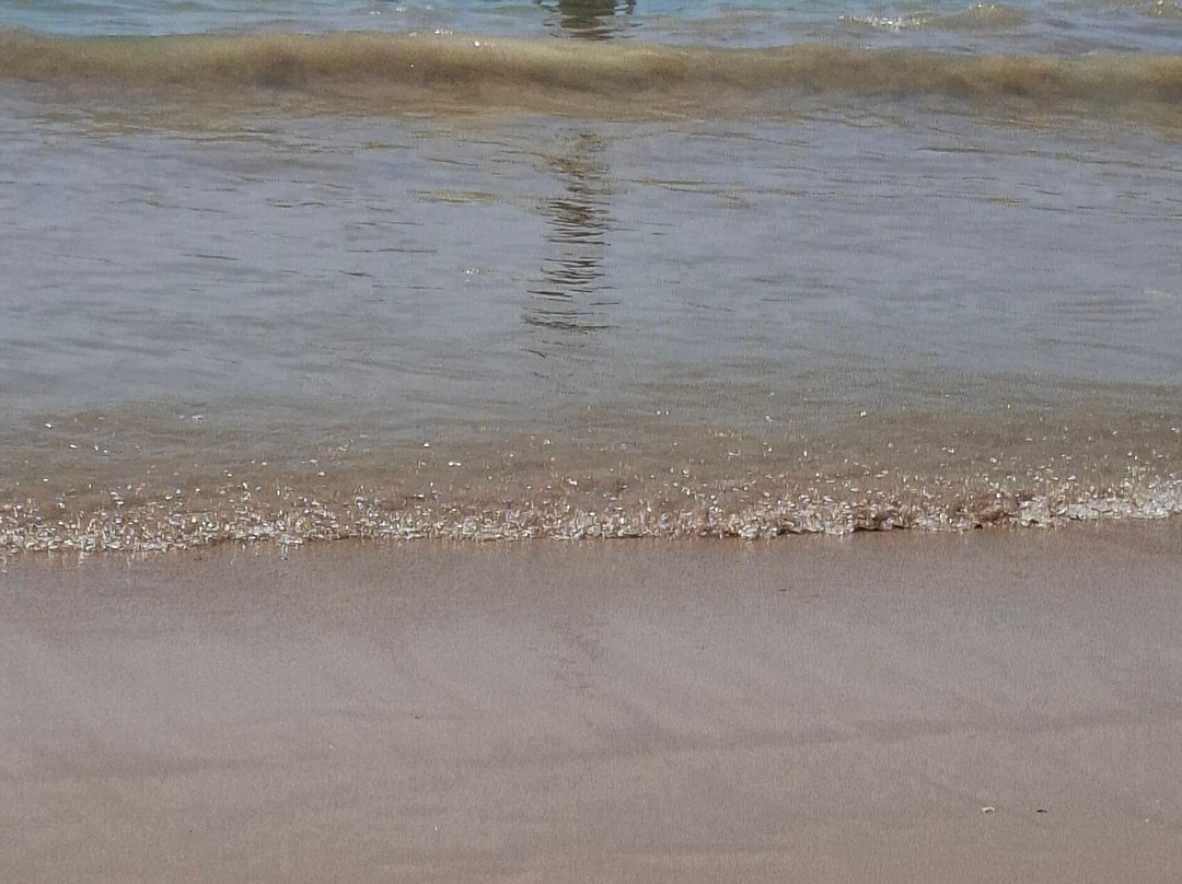 Praia da Torre-奥埃拉斯必去景点