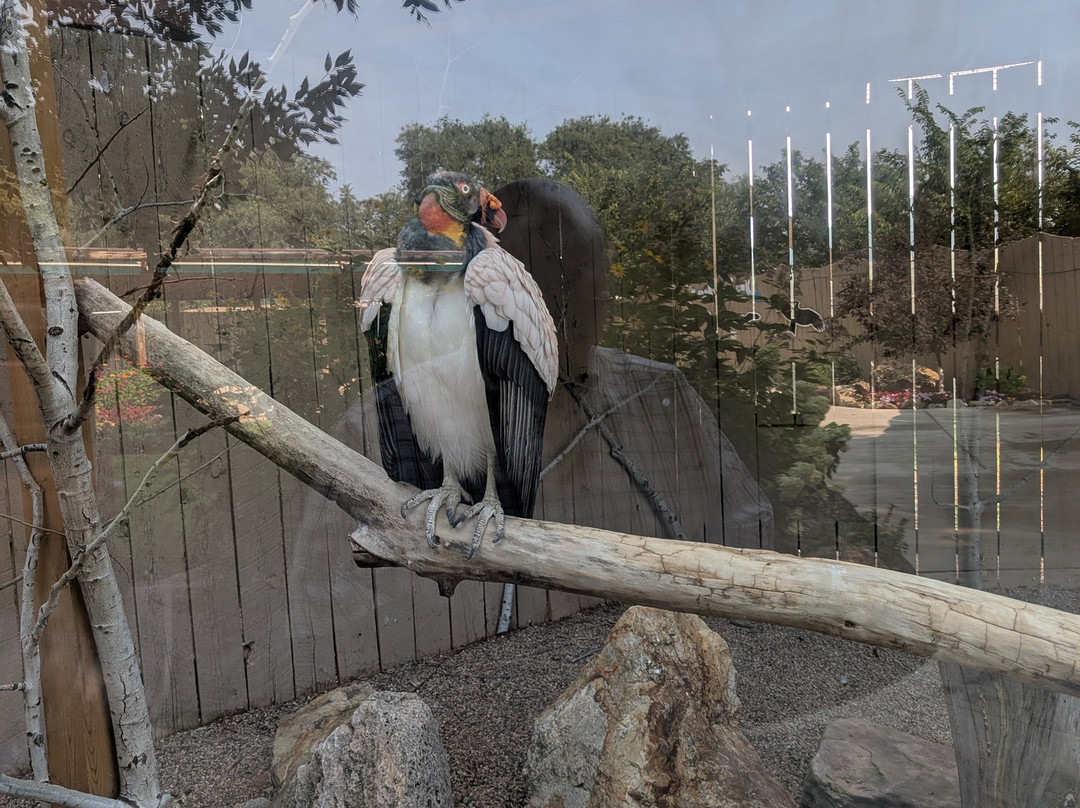 爬虫公园-拉皮德城必去景点