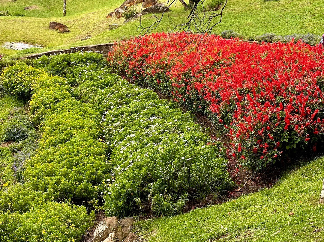 Hakgala皇家植物园-奴娃拉伊利雅必去景点