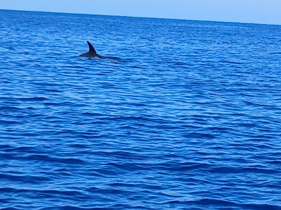 Balagne Aventures Corsica, promenades, excursions en bateau à Sant Ambroggio,en Balagne, en Corse-Lumio必去景点