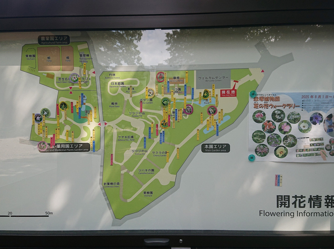 Akatsuka Botanical Gardens-板桥区必去景点