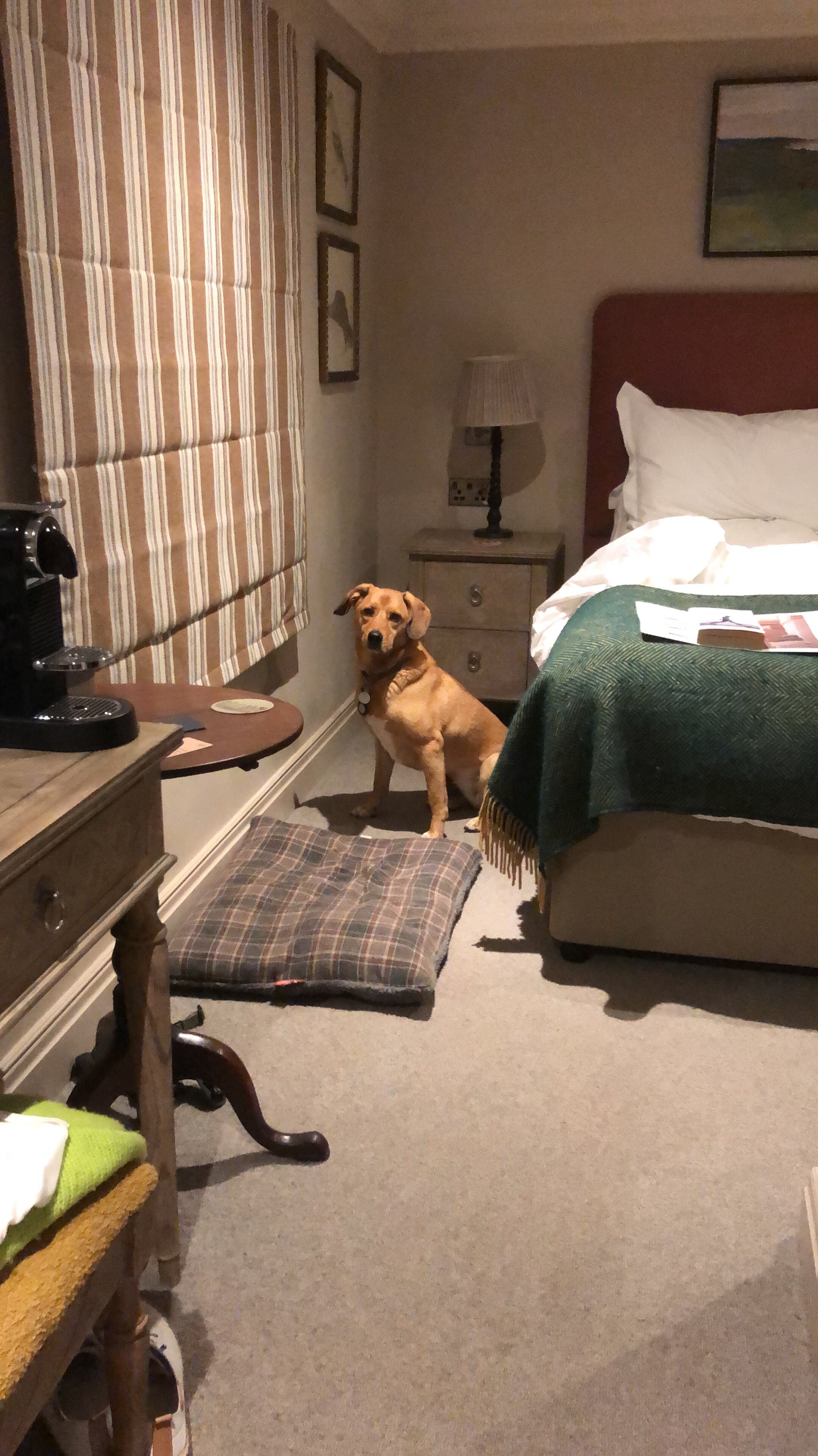 Bedford Arms (Hotel)-官方