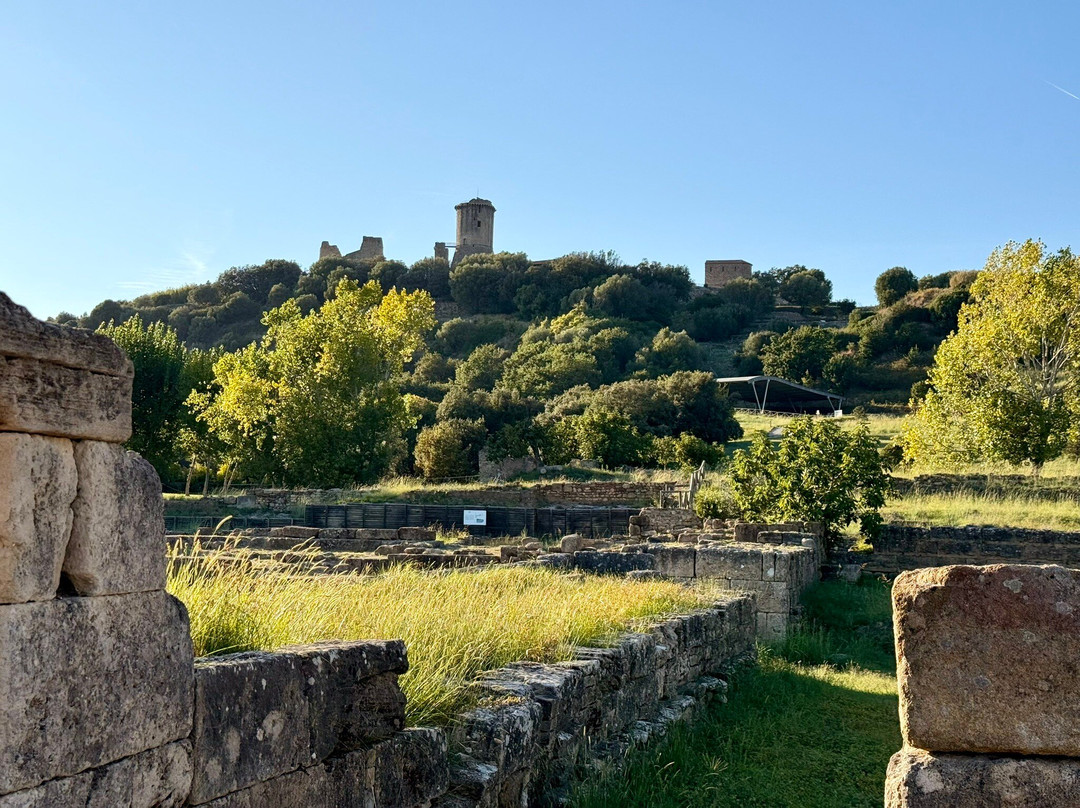 Parco Archeologico di Elea - Velia-Marina di Ascea必去景点