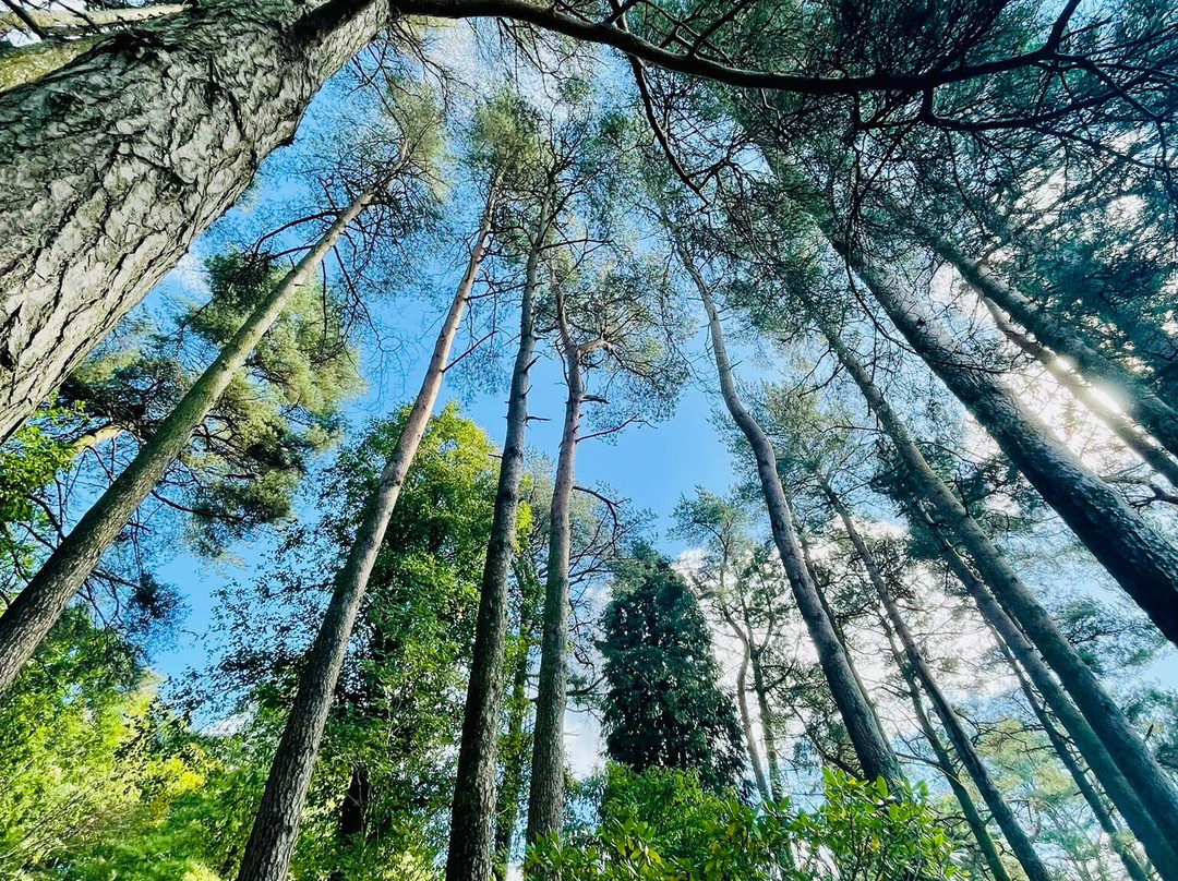 Parcevall Hall Gardens-斯基普顿必去景点