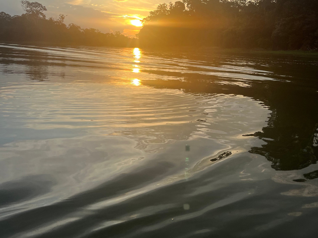 Curassow Amazon Lodge-伊基托斯必去景点