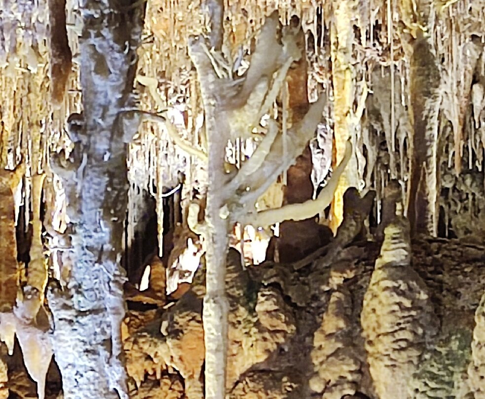 Cuevas Dels Hams-克里斯托港必去景点